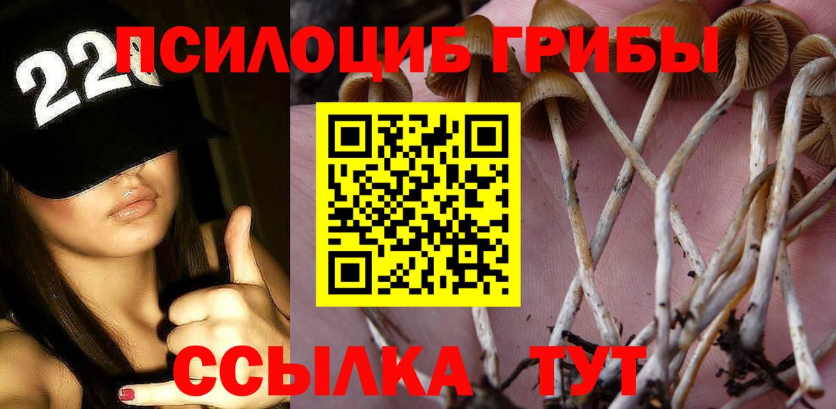 Псилоцибиновые грибы ЛСД  Галлюциногенные грибы MAGIC MUSHROOMS  Симферополь  Вход с VPN 