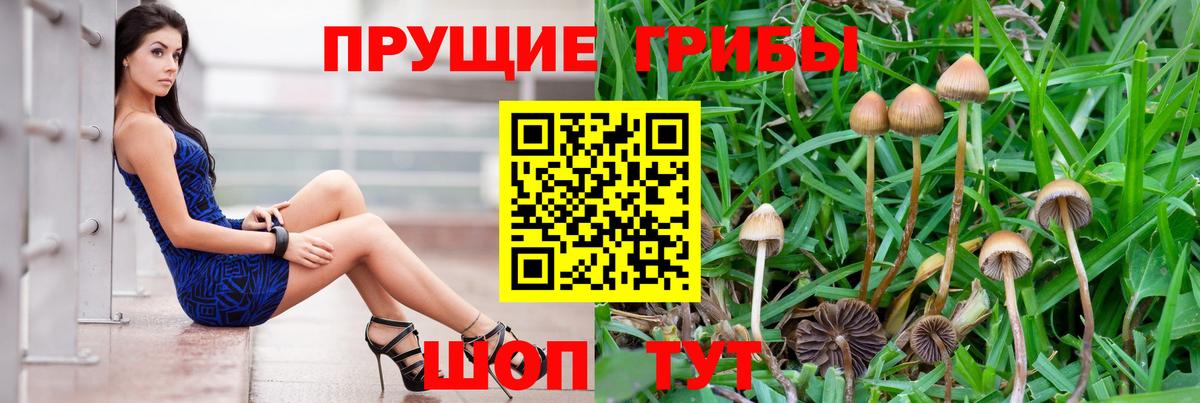 Галлюциногенные грибы Cubensis Симферополь
